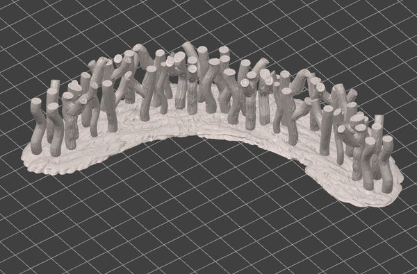 CA-EA: Zulu Stick Fence- Curved